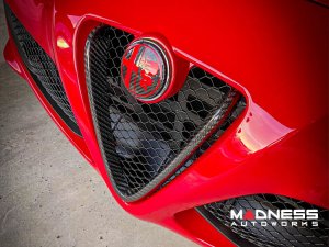 Alfa Romeo 4C Carbon Fiber Front Bumper Center Grille Frame 